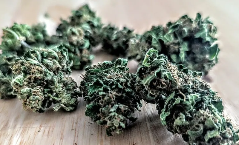 Honey Bananas sun-grown cannabis flower, Divine Toke Detroit